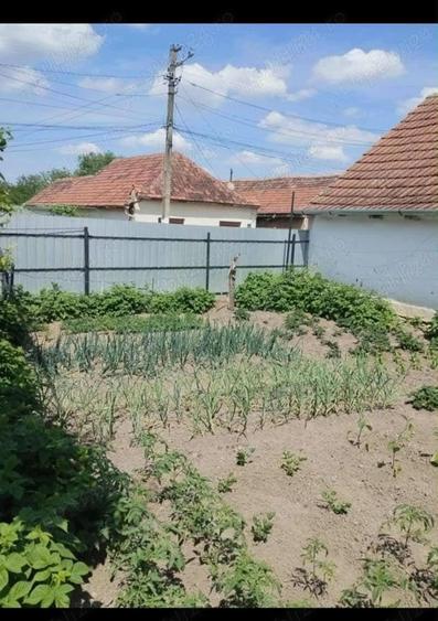 Casă cu 4 camere cu Teren 100 Mp în Central