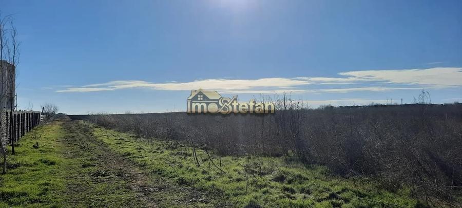 Teren Intravilan Vama Veche | 7.495 mp | Oportunitate Investiție - 7