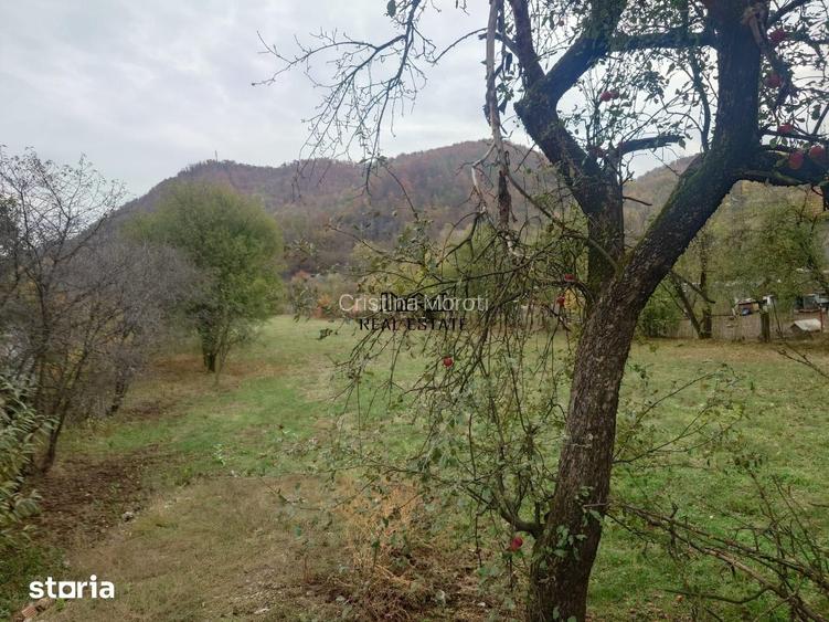 Teren intravilan 2500mp Criscior