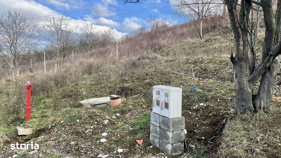 Teren intravilan 810 mp - Gheorge Doja, Oradea - 5
