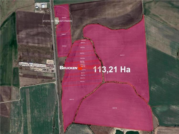Teren de 1132100 mp, în Șofronea