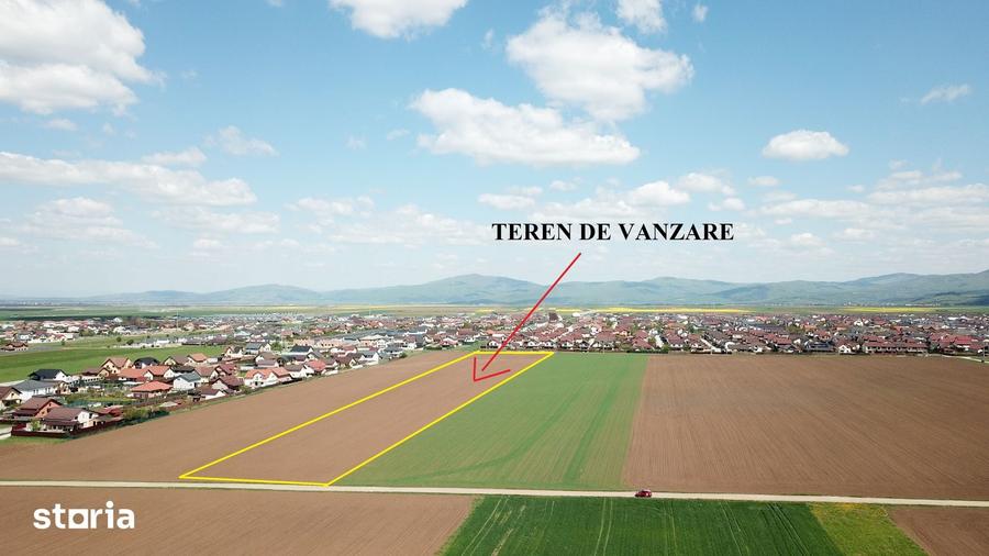Teren de 29200 mp, în Tărlungeni
