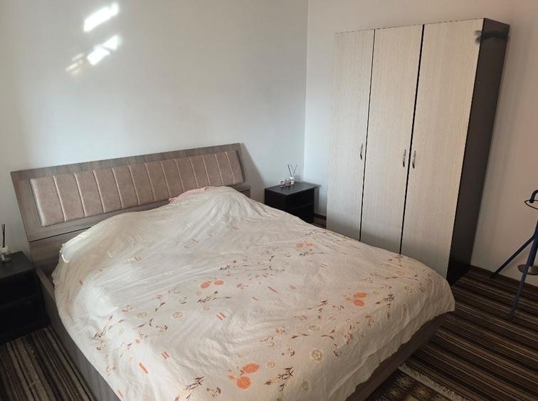 IERTIN - Aparrament cu doua camere in Prundu - 5