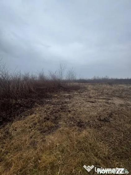 Teren de 8200 mp, în Tăuții-Măgherăuș