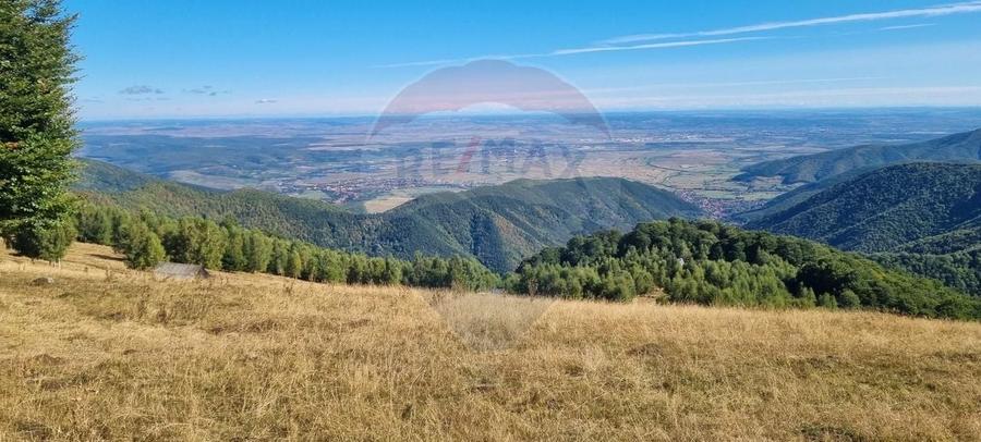 Teren agricol extravilan de 5609 mp, în Gura Râului