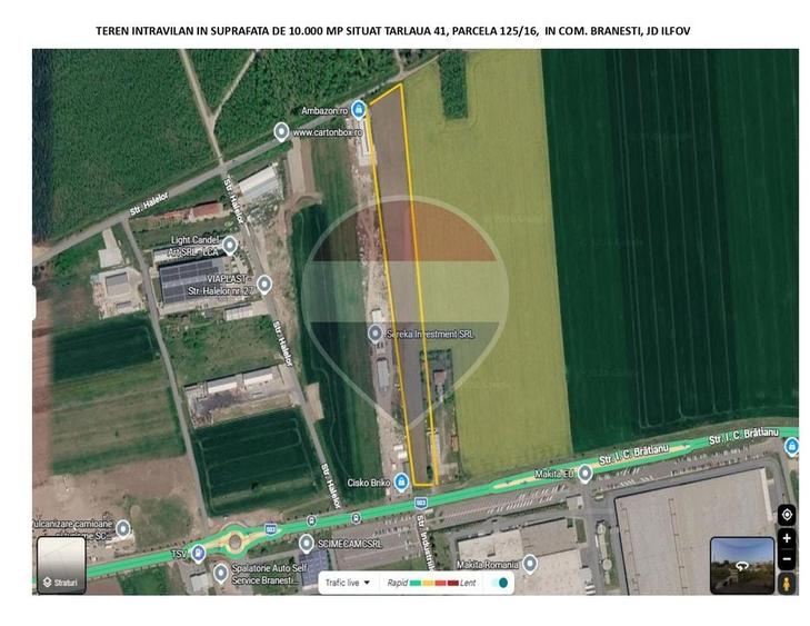 Teren Construcții intravilan de 10000 mp, în Brănești