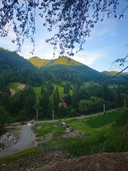 Teren Construcții intravilan de 10000 mp, în Bistrița Bârgăului