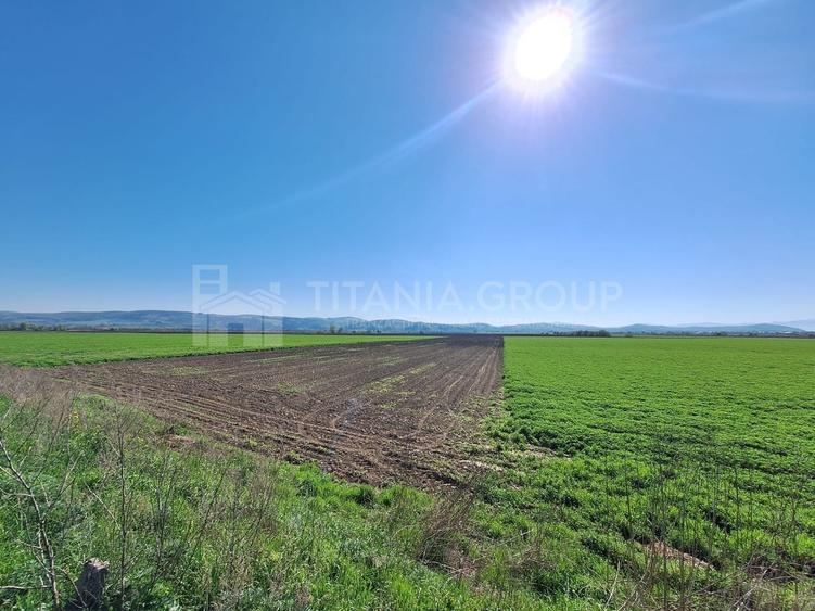 Teren agricol extravilan de 8700 mp, în Bod
