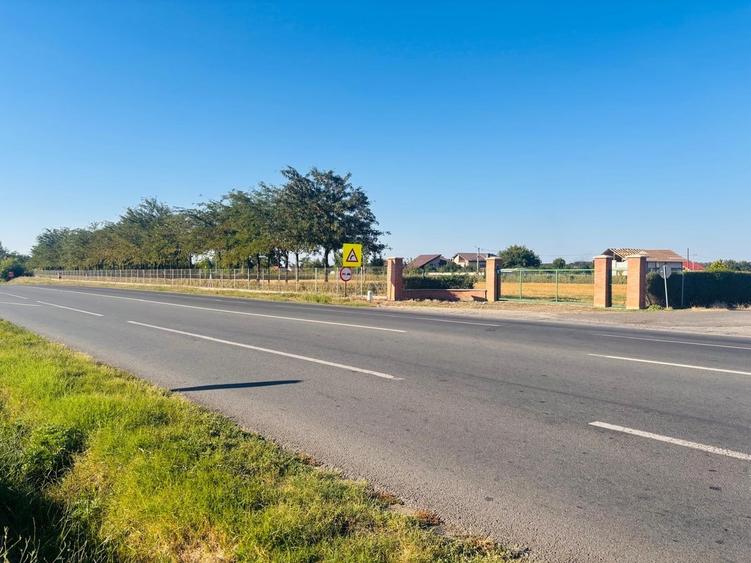 Strada Brebenei 1, Lilieci, Ialomita - 5