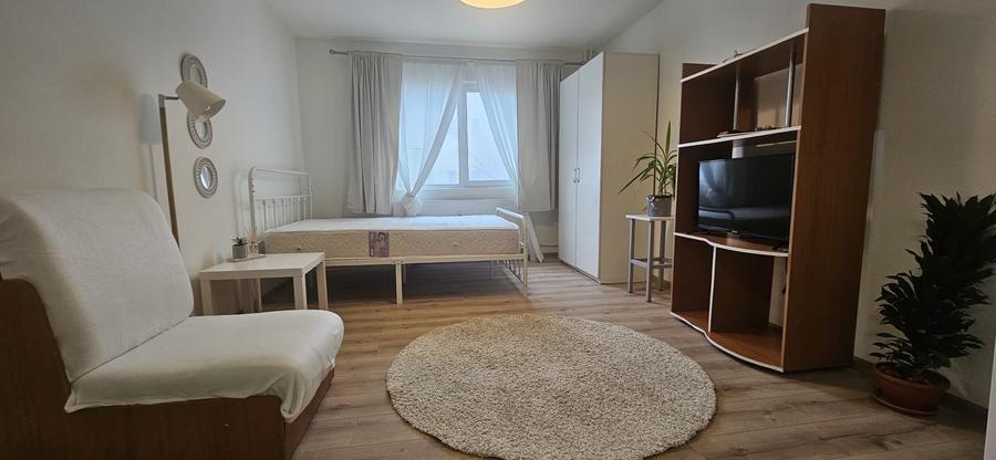 Garsoniera-renovata-integral-mobilata-utilata-poarta-6 - 2