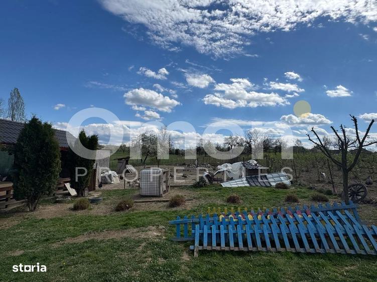 Casa noua pe un nivel + teren 1450 mp | foi?or rustic | Satu Nou de Su - 6