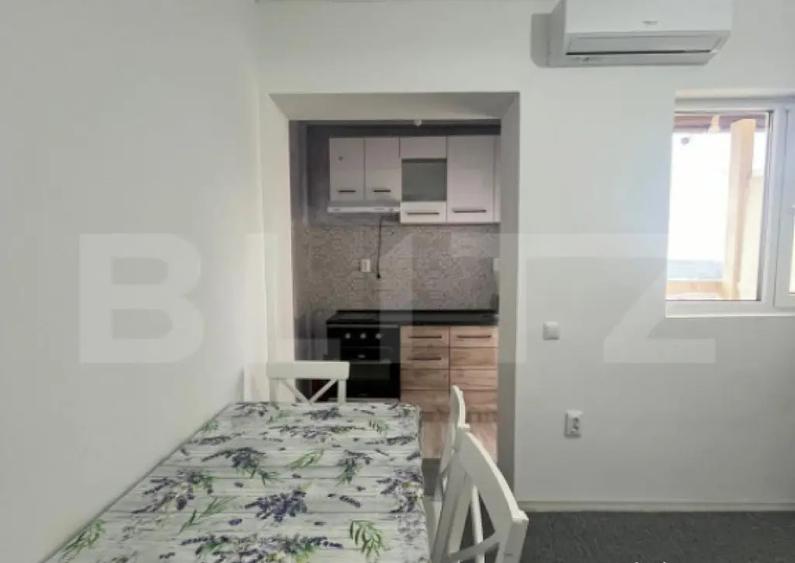 Apartament 1 camera CIUREA - 11