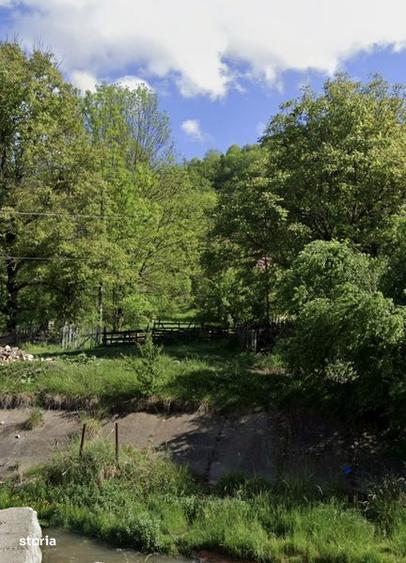 Teren Cabana Ocolis Alba langa rau de munte, 3000 mp, SUPER OFERTA - 2