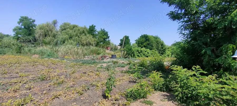 Teren intravilan Lovrin de vanzare - 10