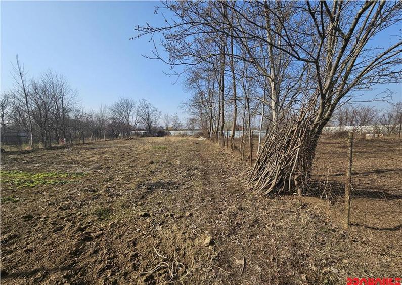 Teren intravilan 2000 mp, Calea Romanului - 1