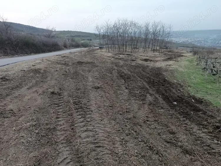 Teren de 5000 mp, în Central