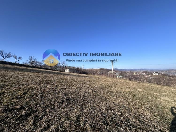 Teren intravilan DOBRENI - 12