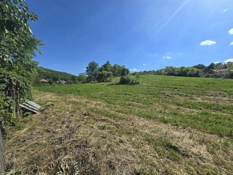 Casă cu Teren 14000 Mp în Bohotin