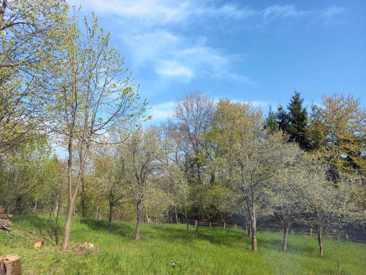 Teren de vanzare - 2