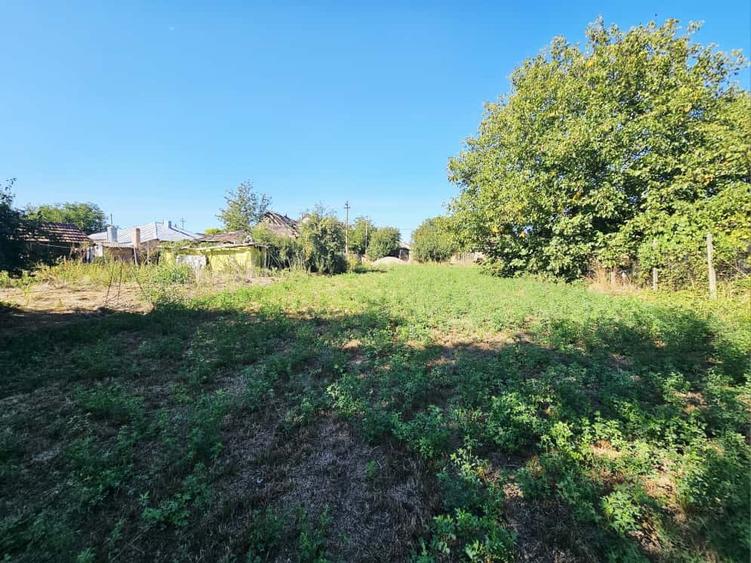 Teren intravilan 1.585 mp, cu utilități la hotar –Gherghița–Ungureni - 5