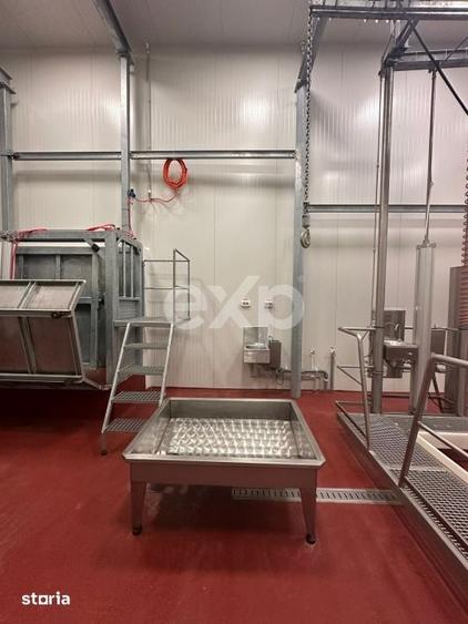 Teren de 105000 mp, în Singureni