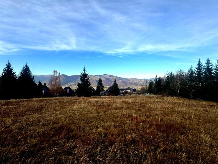 Vanzare 5,3 ha pasune deasupra Voronetului Suceava - Proiect Turistic - 1