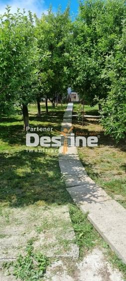 Ocazie - Casa individuala D+P+M 170 mp + 2400 mp teren cu IAZ la asfalt, Osoi - 3