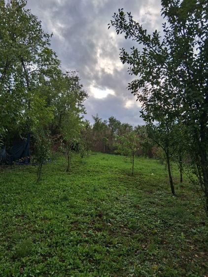 Teren de vanzare - 3