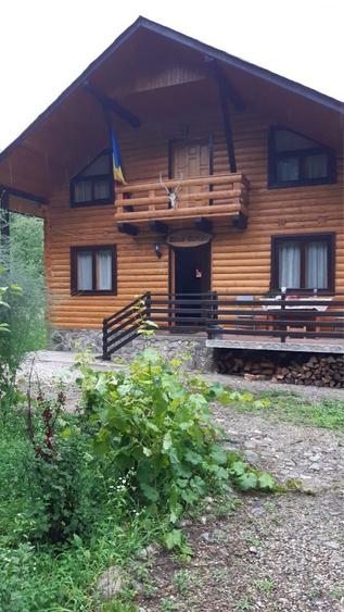 Cabana lemn langa rau, sat Costesti - 2