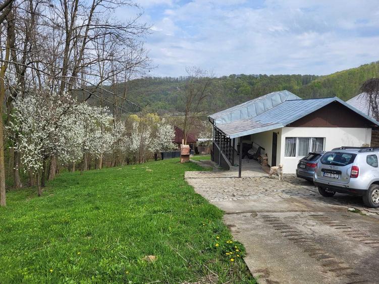 Imobil Valenii de Munte - 5
