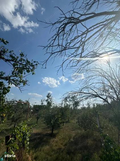 Casa de vanzare in Ion Roata, judetul Ialomita - 4