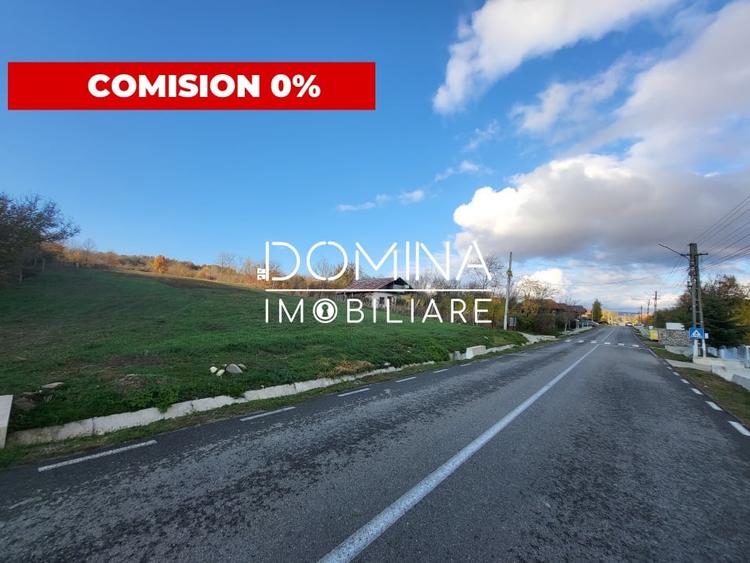 Teren 11.939 mp Balanesti – ideal rezidential/comercial - 1