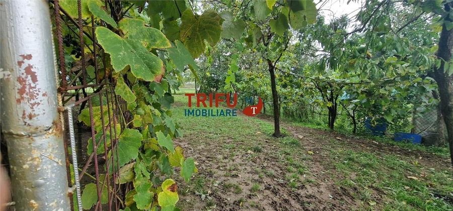 Casa 3 camere, 976 mp, garaj, zona Barabant - 14