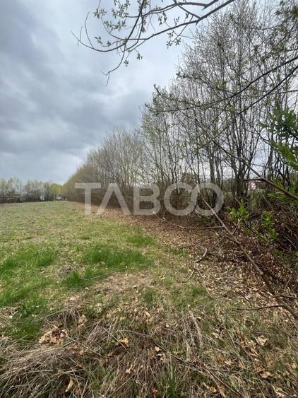 Teren intravilan de vanzare 550m front 21 m utilitati la 120m Cisnadie - 5