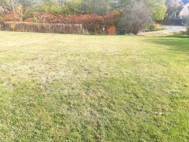 Vand teren Salicea, str. Principala, front 31ml, langa utilitati - 1