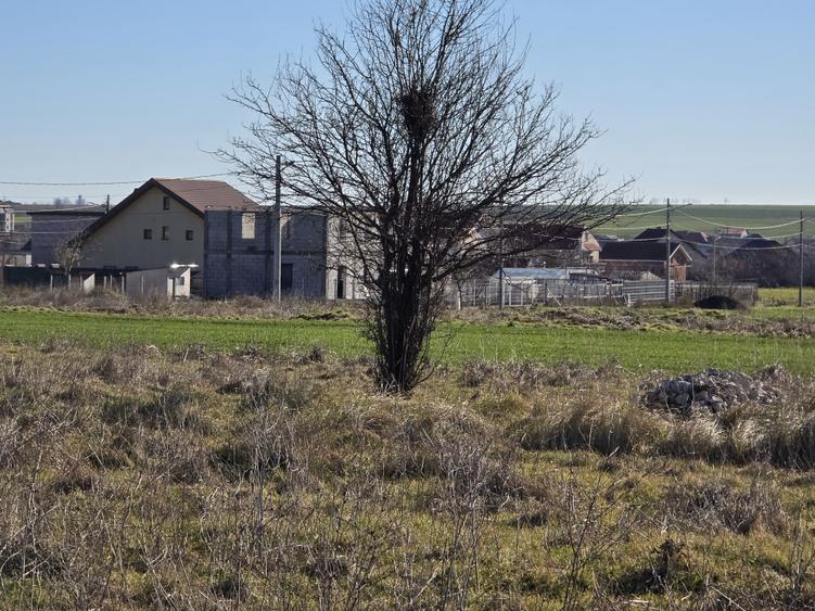 Teren de vanzare in Techirghiol lot de casa - 4