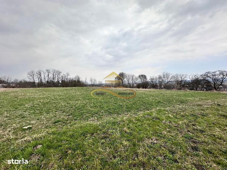 Teren de vanzare Blagesti Bacau - 5