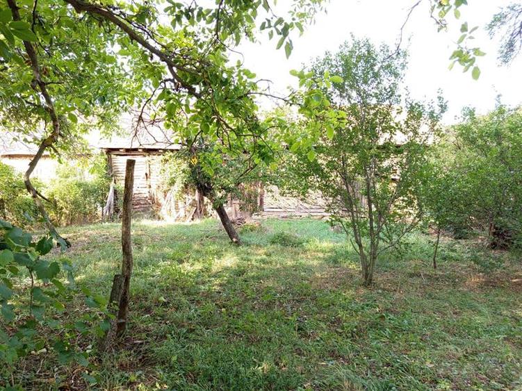 Ciuchici, Casa 7 Incaperi, 1151mp Teren, Pret Negociabil, ZERO COMISION - 10