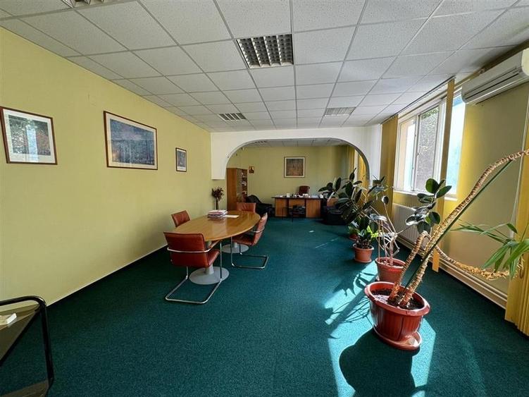 Cladiri de birouri 1.116mp si teren intravilan 5.687 mp de vanzare - 9