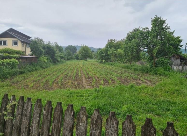 Teren de vanzare - 2