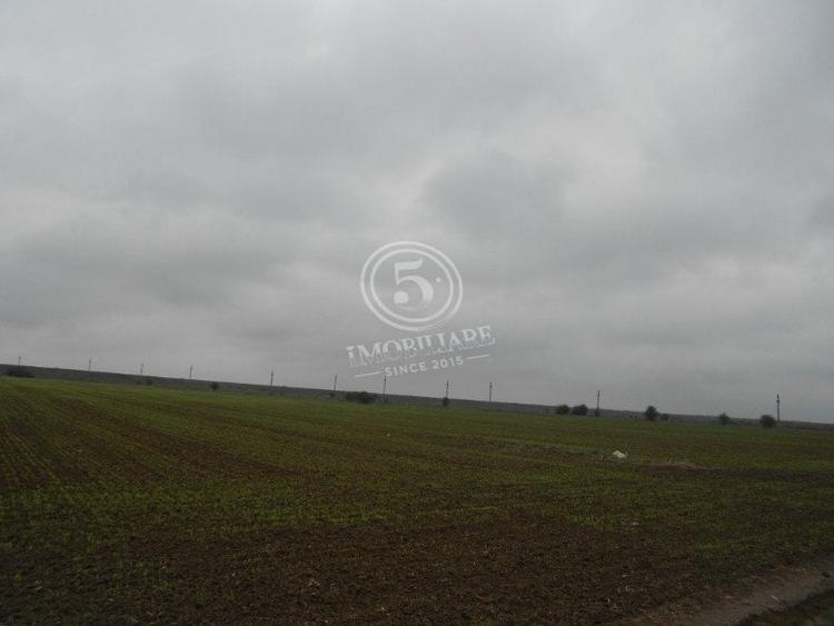 Teren intravilan, Cornetu, Ilfov – 5.590 mp - 6