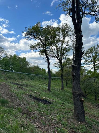 Teren intravilan - 3