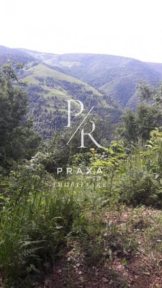 Teren de vanzare 10.000 mp/ parcelabil, cu utiitati, 4 euro/ mp! Maguri Racatau! - 18