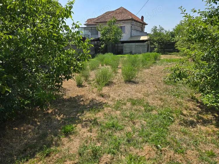 Vand teren intravilan in centrul Orasului Buzias strada Republicii cu toate utilitatile - 6