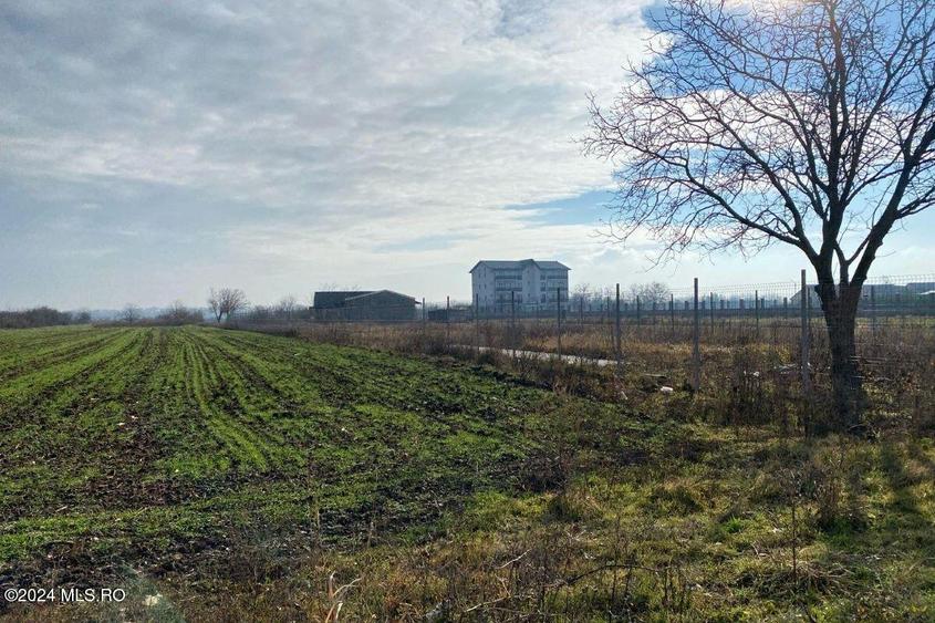 Afumati - Str. Iasomiei, 2409 MP, stradal, intravilan, deschidere 12 ml! - 4