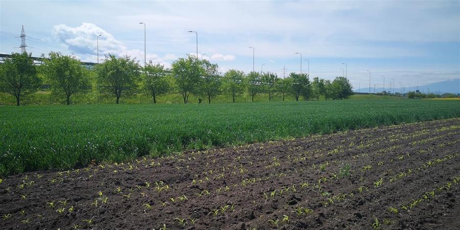 Teren  Zona Stupini Merilor  1693 Mp Intravilan - 7