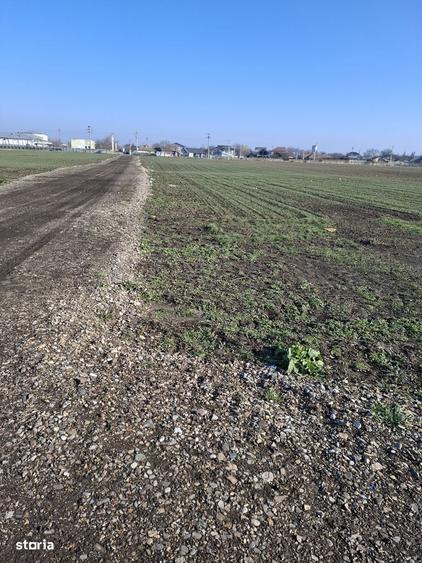 VVand loturi teren n soprafata de 500 mp teren pret 15000 euro - 38