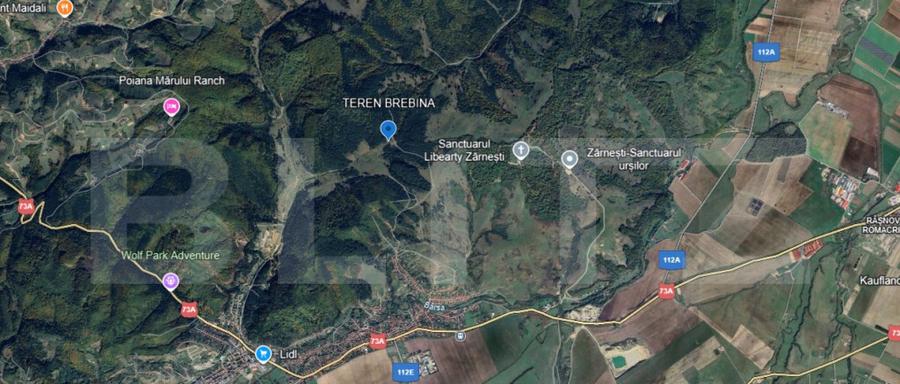 2 Terenuri in Zarne?ti Zona Brebina ; Investi?ie cu - 1