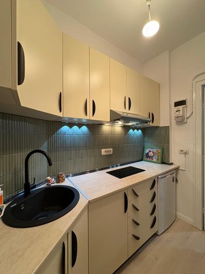 Sala Palatului, Parc Cismigiu, prima inchiriere, bloc consolidat - 2