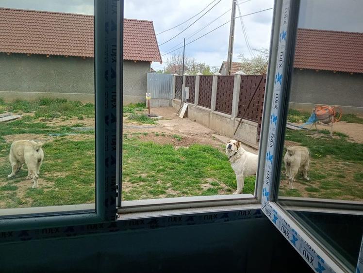 Vand casa la 18 km de Oradea - 6